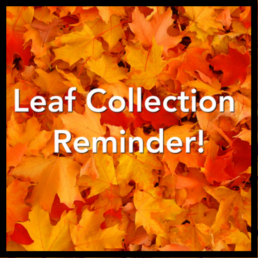 Leaf Collection spotlight